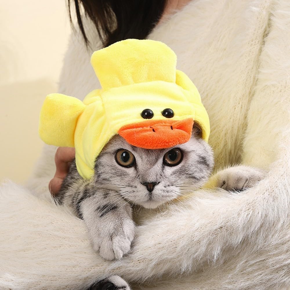 Gorritos peluche