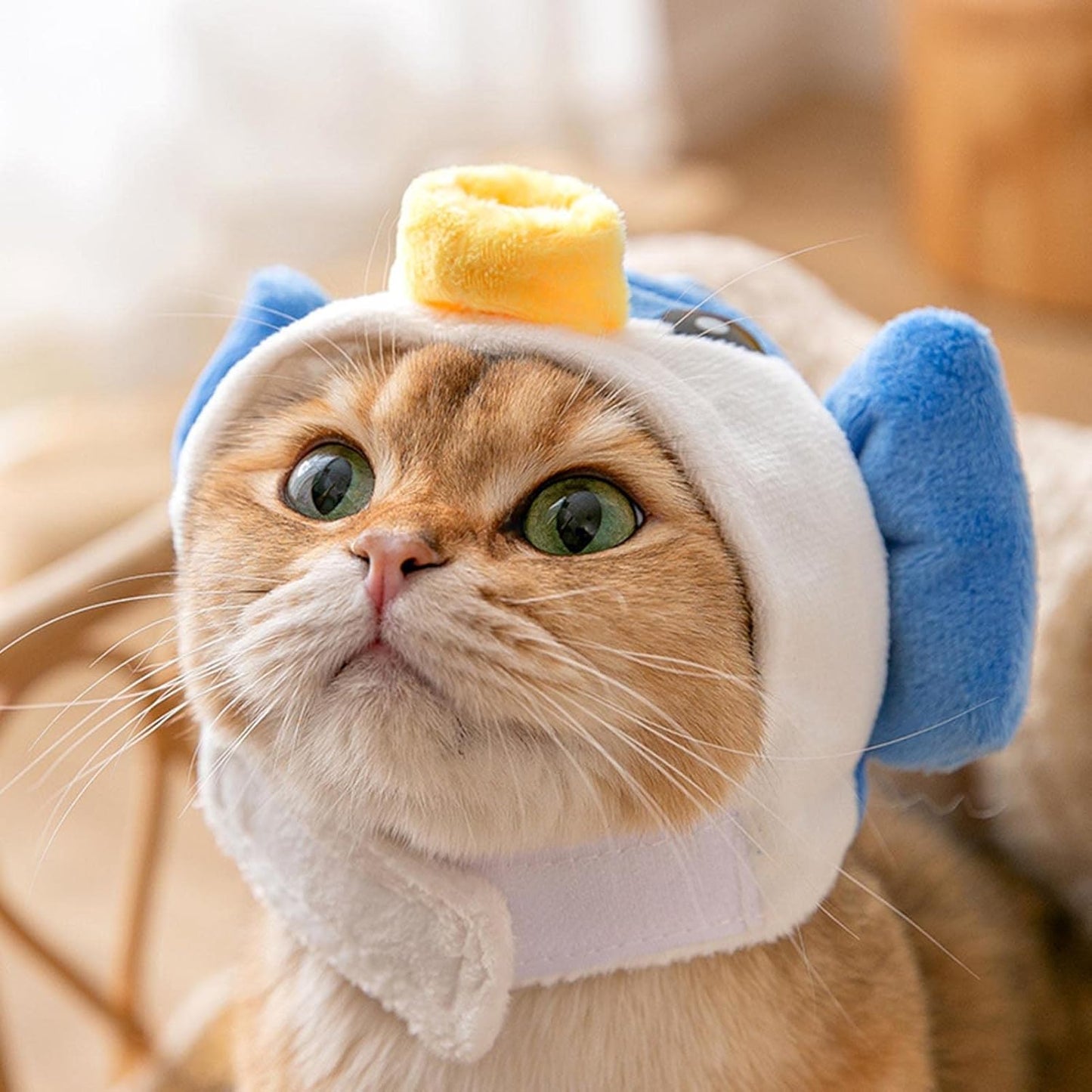 Gorritos peluche