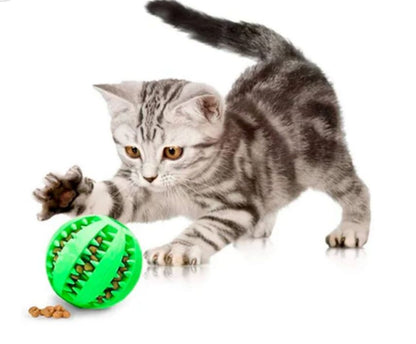 Pelota dispensadora de snacks