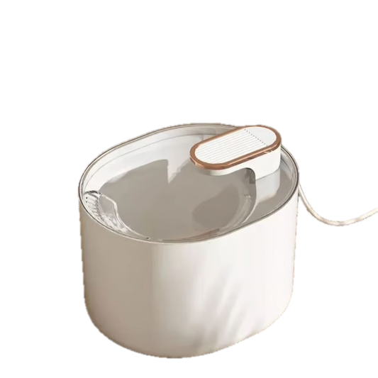 Fuente de agua luxury