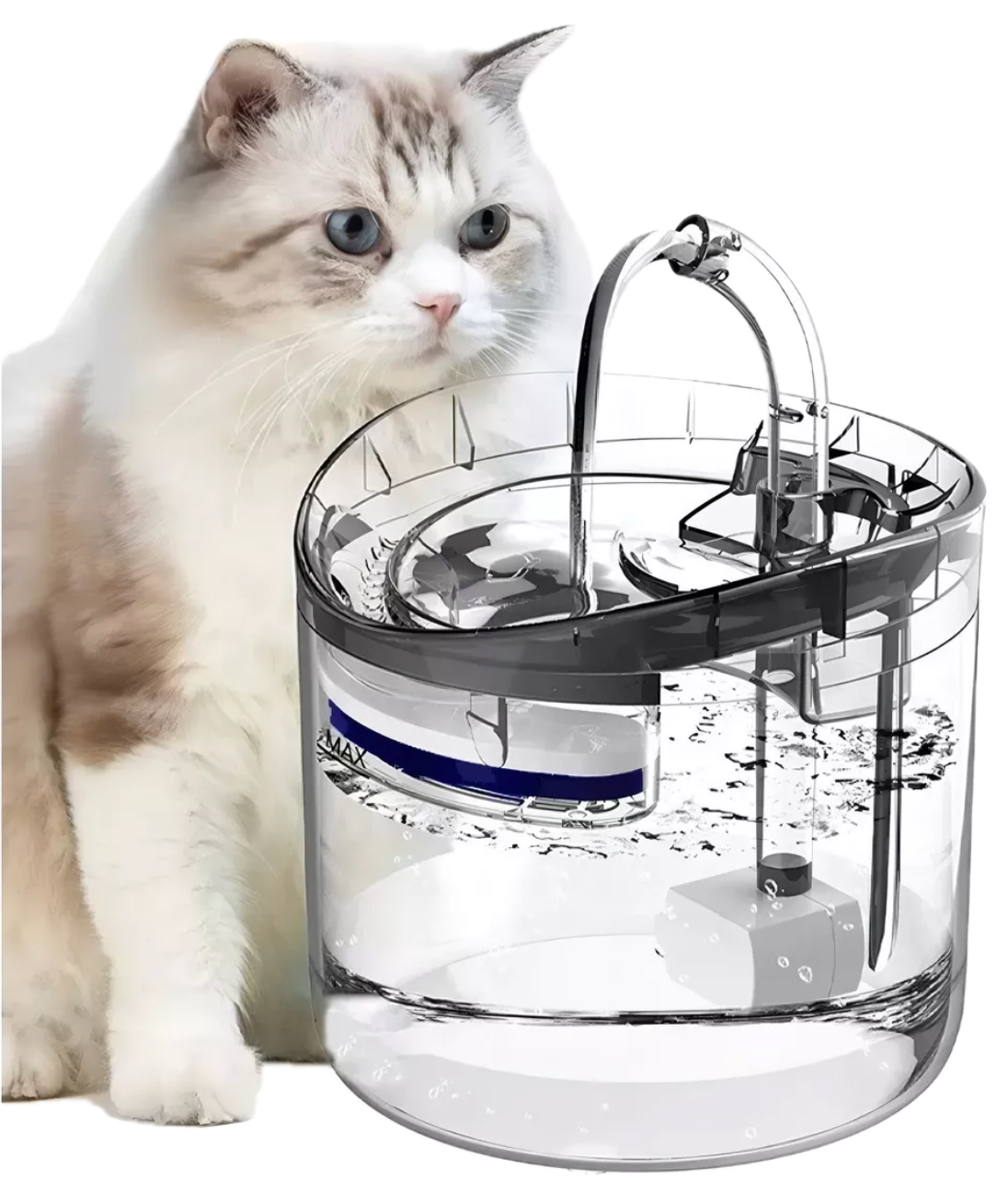 Fuente de agua transparente con sensor