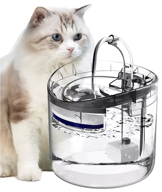 Fuente de agua transparente con sensor